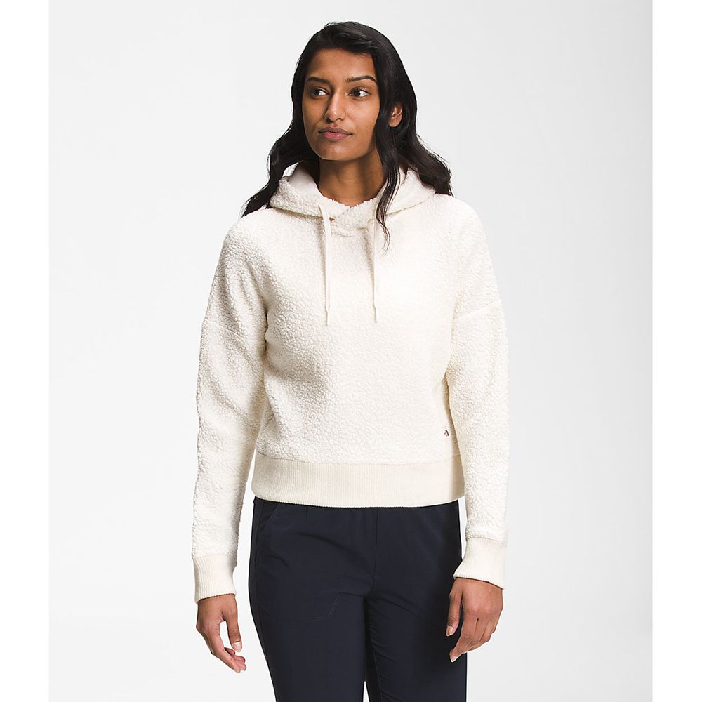 The North Face Hoodie Womens Australia - The North Face Wool Harrison Pullover White (WVL-789635)